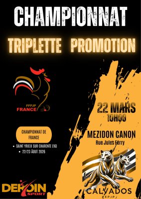 Championnat Triplettes Promotions, Secteur Ouest.