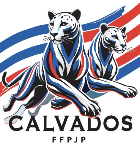 Logo Comité du Calvados de petanque et jeu provencal